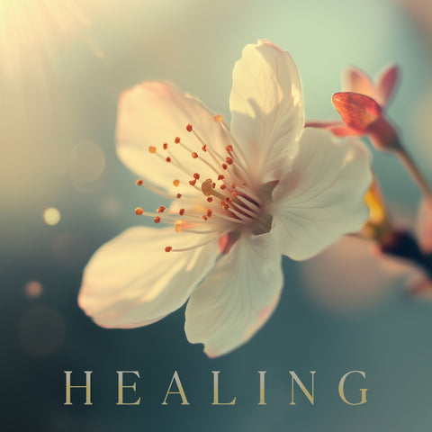 Healing (Various Artists)